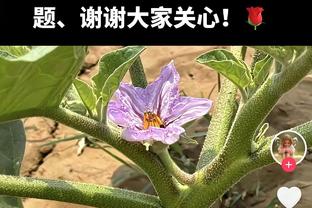 ?小疯一下！勇士第三节轰39分 单节净胜黄蜂13分！